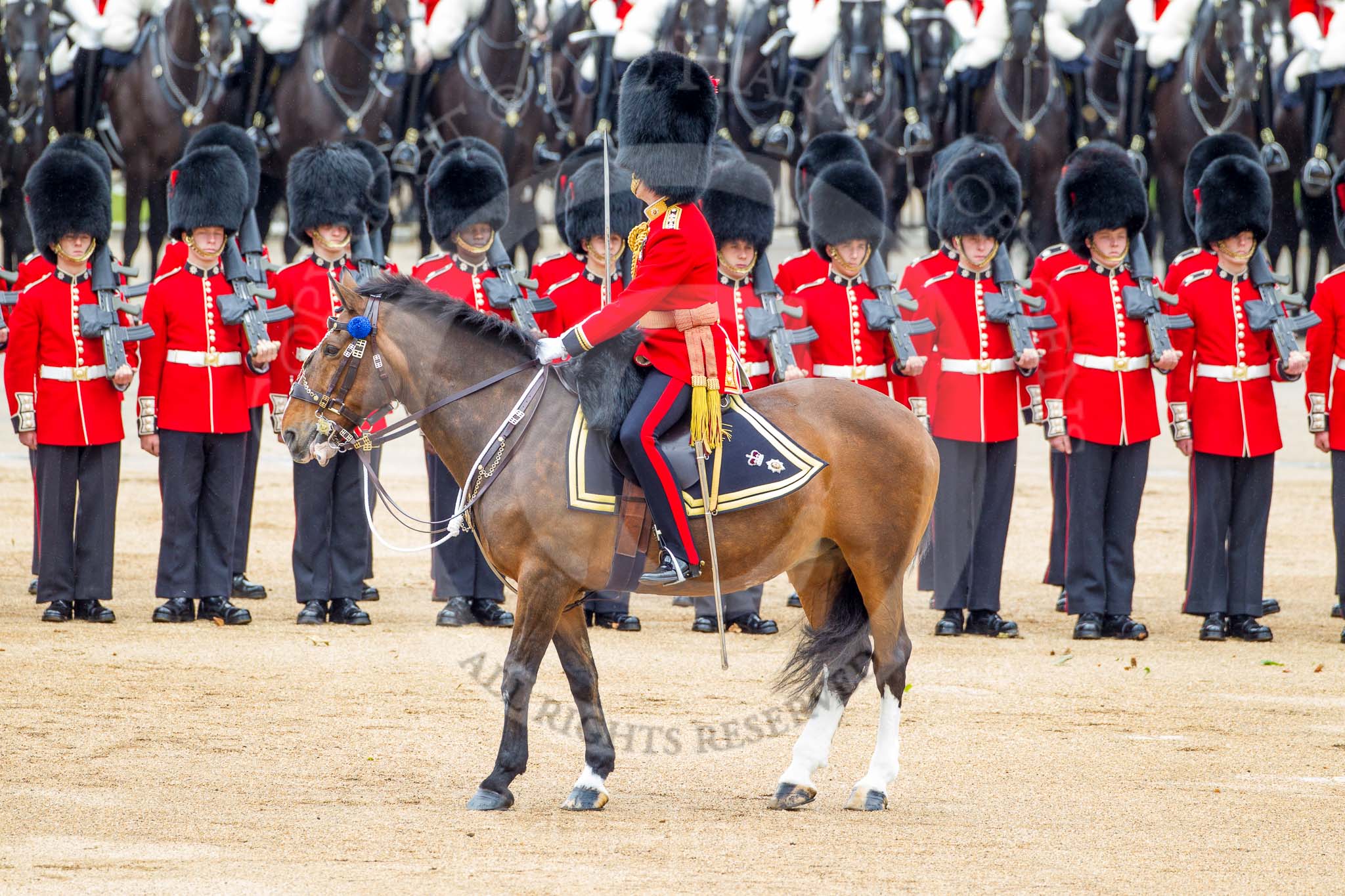 Trooping the Colour 2012: The Field Officer in Brigade Waiting, Lieutenant Colonel R C N Sergeant, Coldstream Guards, riding Burniston..
Horse Guards Parade, Westminster,
London SW1,

United Kingdom,
on 16 June 2012 at 11:29, image #363