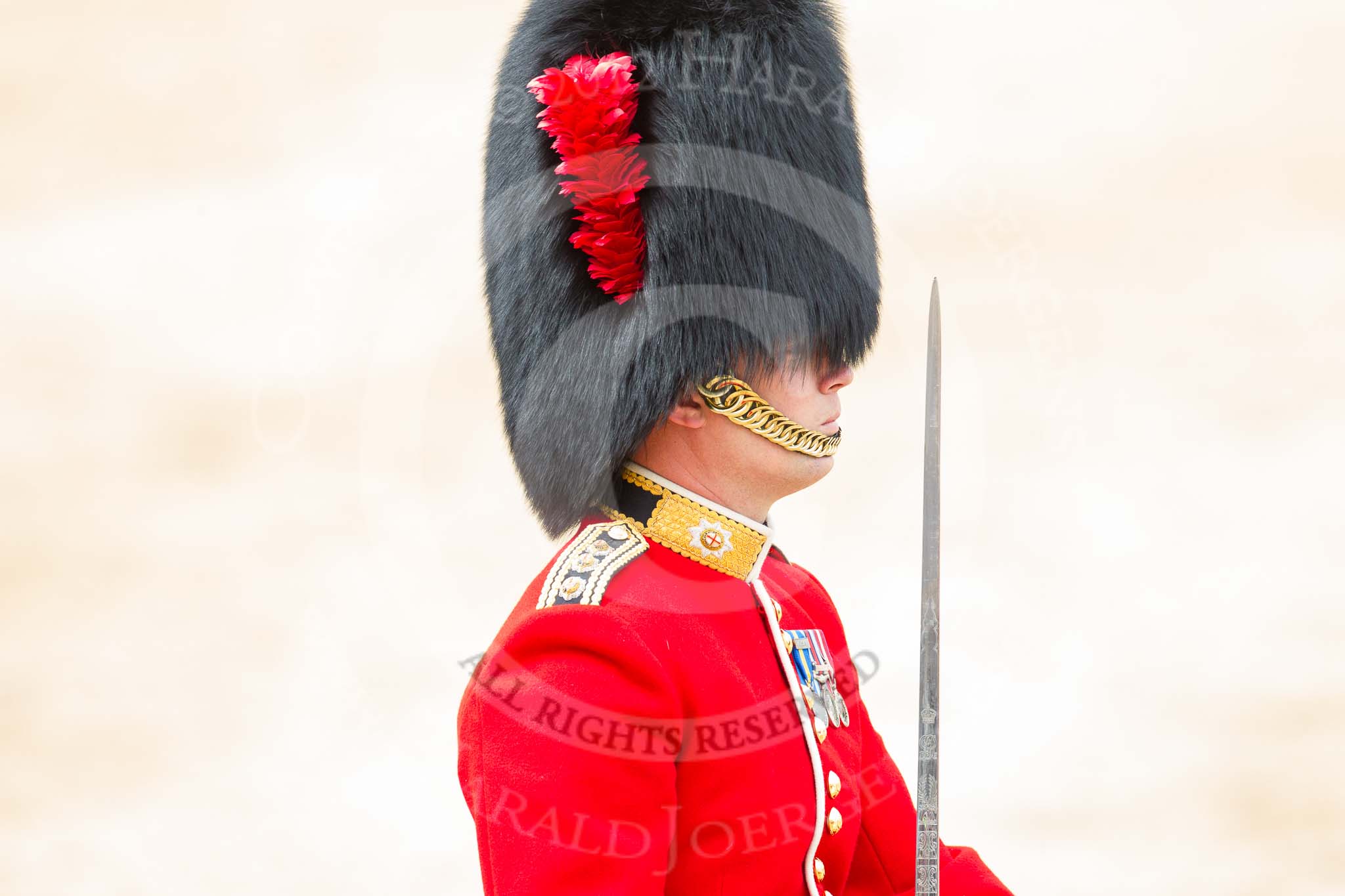 Trooping the Colour 2012: Close-up of the Adjutant of the Parade, Captain F O B Wells, Coldstream Guards..
Horse Guards Parade, Westminster,
London SW1,

United Kingdom,
on 16 June 2012 at 11:39, image #444