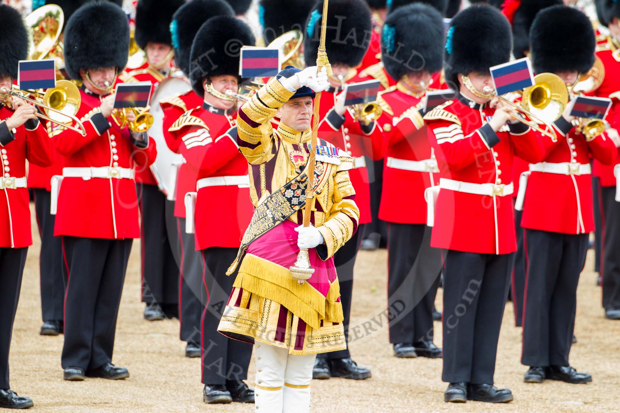 Trooping the Colour 2012: Senior Drum Major, M Betts, Grenadier Guards, during the March Past..
Horse Guards Parade, Westminster,
London SW1,

United Kingdom,
on 16 June 2012 at 11:39, image #448
