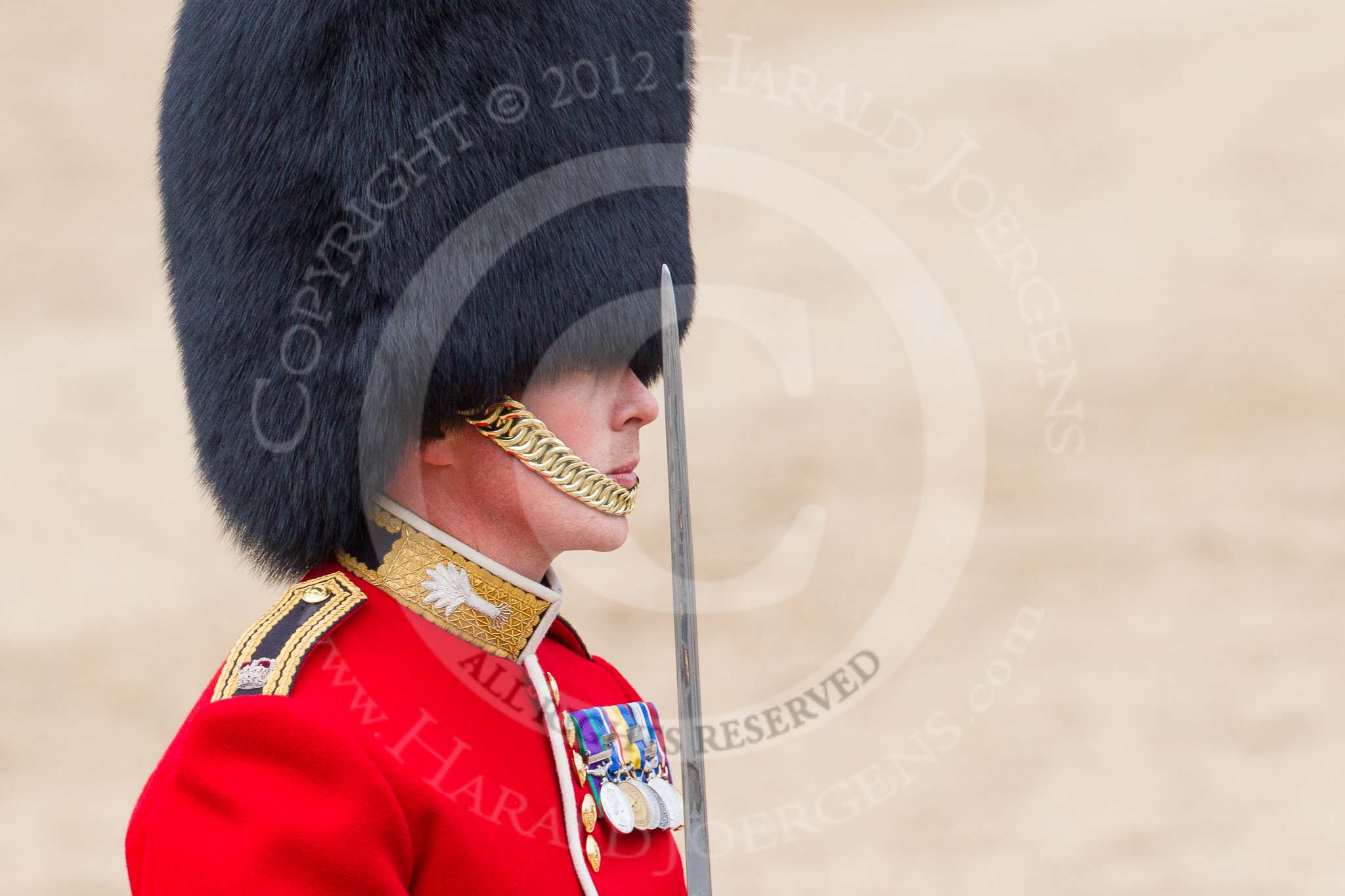 Trooping the Colour 2012: Close-up of the Major of the Parade, Major Mark Lewis, Welsh Guards..
Horse Guards Parade, Westminster,
London SW1,

United Kingdom,
on 16 June 2012 at 11:45, image #483