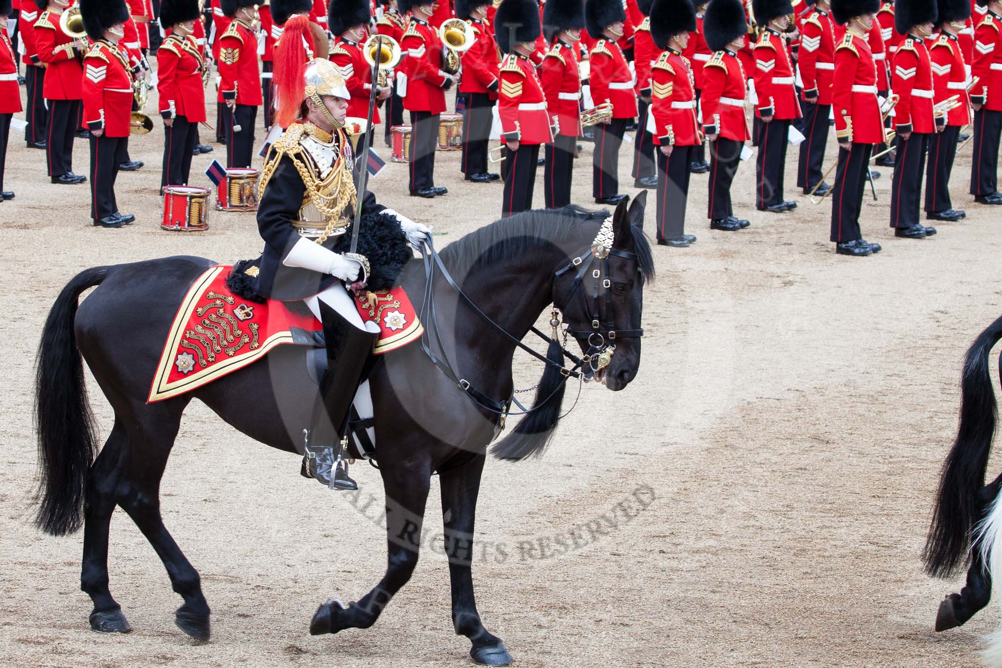 Trooping the Colour 2012: Escort Commander Captain S S Lukas, The Blues and Royals, during the Ride Past..
Horse Guards Parade, Westminster,
London SW1,

United Kingdom,
on 16 June 2012 at 11:55, image #558