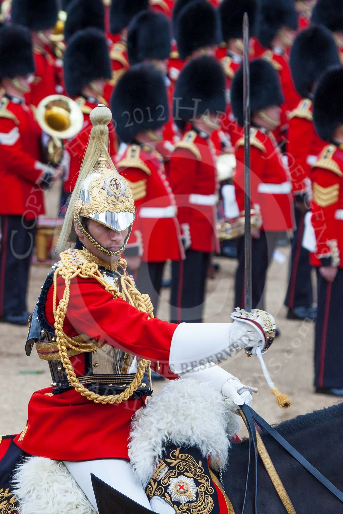 Trooping the Colour 2012: Another captain from The Life Guards who's name I'm not aware of during the Ride Past..
Horse Guards Parade, Westminster,
London SW1,

United Kingdom,
on 16 June 2012 at 11:56, image #566