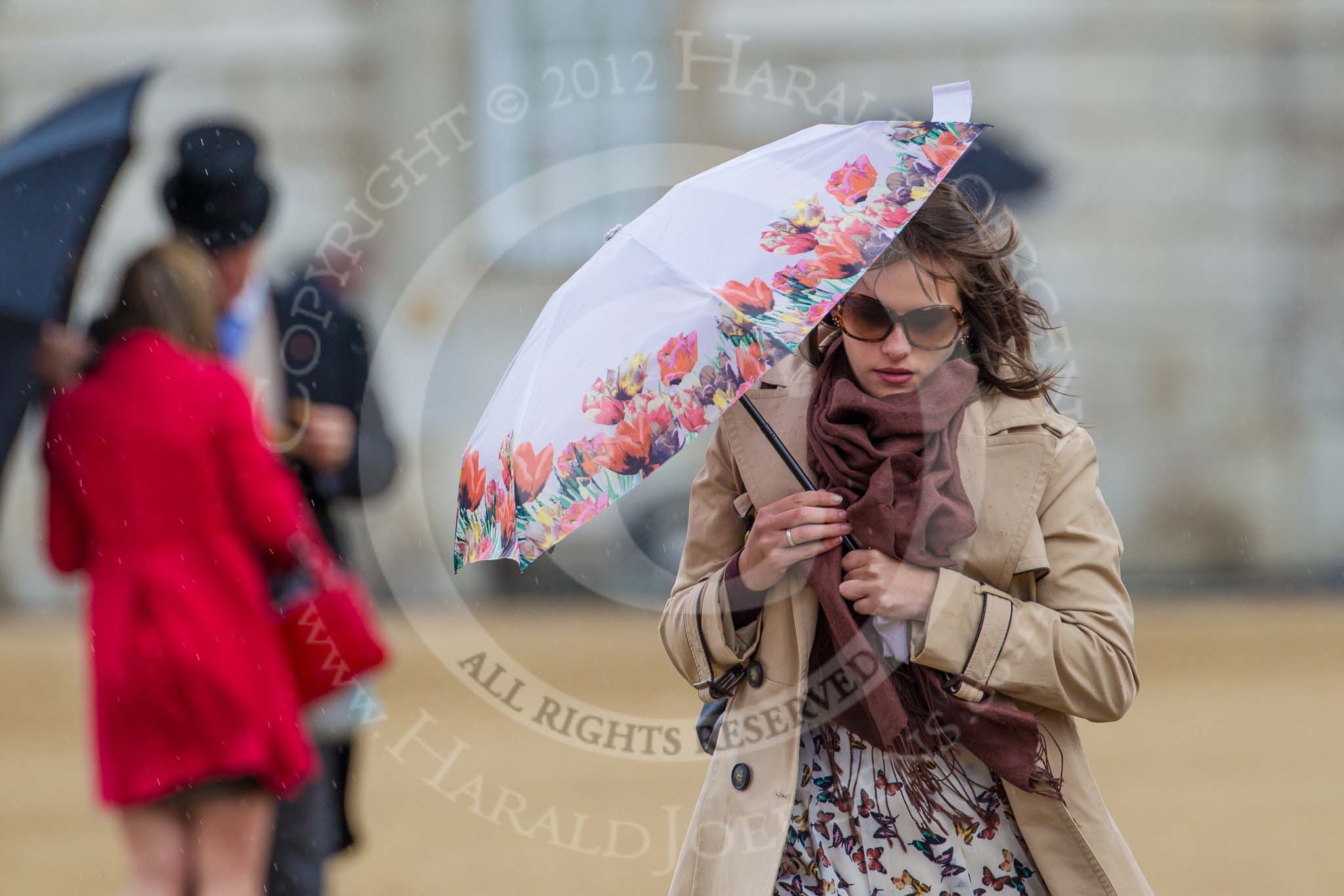 Trooping the Colour 2012: A heavy shower right at the start of the flypast..
Horse Guards Parade, Westminster,
London SW1,

United Kingdom,
on 16 June 2012 at 12:59, image #712