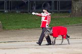 Trooping the Colour 2012: Conmael, the Irish Wolfhound mascot dog of the Irish Guards, with his handler..
Horse Guards Parade, Westminster,
London SW1,

United Kingdom,
on 16 June 2012 at 10:23, image #46