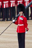 Trooping the Colour 2012: A closer look at Colour Sereant Paul Baines, carrying the Colour. Paul Baines is wearing the Military Cross he received for bravery whilst serving in Afghanistan..
Horse Guards Parade, Westminster,
London SW1,

United Kingdom,
on 16 June 2012 at 10:31, image #73