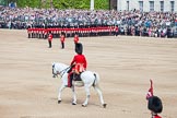 Trooping the Colour 2012: The Adjutant of the Parade, Captain F O B Wells, Coldstream Guards, is riding onto Horse Guards Parade. On the right the Colour Party..
Horse Guards Parade, Westminster,
London SW1,

United Kingdom,
on 16 June 2012 at 10:34, image #82