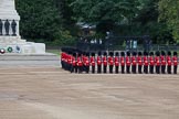 Trooping the Colour 2012: The Guards Divisions are changing their positions to form a long, L-shaped double row of guardsmen..
Horse Guards Parade, Westminster,
London SW1,

United Kingdom,
on 16 June 2012 at 10:35, image #87