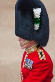 Trooping the Colour 2012: A close-up of the Major of the Parade, Major Mark Lewis, Welsh Guards..
Horse Guards Parade, Westminster,
London SW1,

United Kingdom,
on 16 June 2012 at 10:37, image #95