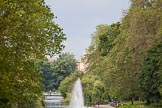 Trooping the Colour 2012: A closer look at Buckingham Palace seen through St. James's Park..
Horse Guards Parade, Westminster,
London SW1,

United Kingdom,
on 16 June 2012 at 10:43, image #105