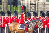 Trooping the Colour 2012: The Field Officer in Brigade Waiting, Lieutenant Colonel R C N Sergeant, Coldstream Guards, in front of No. 3 Guard, preparing for the arrival of the first carriages..
Horse Guards Parade, Westminster,
London SW1,

United Kingdom,
on 16 June 2012 at 10:44, image #106