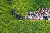 Trooping the Colour 2012: Spectators watching from the Citadel, the ivy-covered bunker on the Northern side of the Old Admirality Building..
Horse Guards Parade, Westminster,
London SW1,

United Kingdom,
on 16 June 2012 at 10:46, image #108
