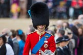 Trooping the Colour 2012: His Royal Highness The Duke of Cambridge,
Colonel Irish Guards..
Horse Guards Parade, Westminster,
London SW1,

United Kingdom,
on 16 June 2012 at 10:59, image #170