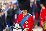 Trooping the Colour 2012: His Royal Highness The Duke of Cambridge,
Colonel Irish Guards..
Horse Guards Parade, Westminster,
London SW1,

United Kingdom,
on 16 June 2012 at 11:02, image #191
