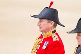 Trooping the Colour 2012: A close-up view of the Equerry in Waiting to Her Majesty, Lieutenant Colonel A F Matheson of Matheson, younger..
Horse Guards Parade, Westminster,
London SW1,

United Kingdom,
on 16 June 2012 at 11:02, image #202