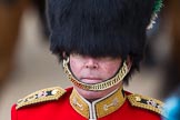 Trooping the Colour 2012: Close-up view of the Foot Guards Regimental Adjutant, Colonel T C S Bonas, Welsh Guards..
Horse Guards Parade, Westminster,
London SW1,

United Kingdom,
on 16 June 2012 at 11:03, image #213