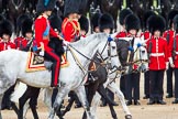 Trooping the Colour 2012: The Royal Colonels during the Inspection of the Line. HRH The Duke of Cambridge, Colonel Irish Guards, HRH The Princess Royal, Gold Stick in
Waiting and Colonel The Blues and Royals, HRH The Prince of Wales, Colonel Welsh Guards, and HRH The Duke of Kent, Colonel Scots Guards..
Horse Guards Parade, Westminster,
London SW1,

United Kingdom,
on 16 June 2012 at 11:04, image #218
