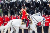 Trooping the Colour 2012: During the Inspection of the Line - Crown Equerry and Equerry in Waiting to Her Majesty, Colonel W T Browne and Lieutenant Colonel A F Matheson of Matheson, yr..
Horse Guards Parade, Westminster,
London SW1,

United Kingdom,
on 16 June 2012 at 11:04, image #220
