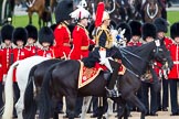 Trooping the Colour 2012: During the Inspection of the Line - Aide-de-Camp, Captain F A O Kuku, Grenadier Guards, 
Chief of Staff, Colonel R H W St G Bodington, Welsh Guards, and Silver-Stick-in-Waiting, Colonel S H Cowen, The Blues and Royals..
Horse Guards Parade, Westminster,
London SW1,

United Kingdom,
on 16 June 2012 at 11:04, image #223
