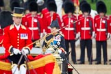 Trooping the Colour 2012: A smiling Princess Royal during the Inspection of the Line..
Horse Guards Parade, Westminster,
London SW1,

United Kingdom,
on 16 June 2012 at 11:07, image #239