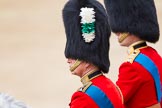 Trooping the Colour 2012: Father and son II, with the focus on the father - HRH The Prince of Wales, and HRH The Duke of Cambridge..
Horse Guards Parade, Westminster,
London SW1,

United Kingdom,
on 16 June 2012 at 11:10, image #260