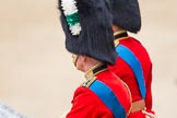 Trooping the Colour 2012: Another close-up of father and son - HRH The Prince of Wales, and HRH The Duke of Cambridge..
Horse Guards Parade, Westminster,
London SW1,

United Kingdom,
on 16 June 2012 at 11:11, image #266