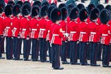 Trooping the Colour 2012: The Regimental Sergeant Major, with his sword still drawn, moves back to his original position..
Horse Guards Parade, Westminster,
London SW1,

United Kingdom,
on 16 June 2012 at 11:22, image #322