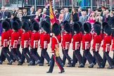 Trooping the Colour 2012: The Escort to the Colour, with the Ensign, Hugo Codrington, carrying the Colour, in front..
Horse Guards Parade, Westminster,
London SW1,

United Kingdom,
on 16 June 2012 at 11:24, image #335
