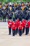 Trooping the Colour 2012: "Present Arms" - No. 2 Guard, 1st Battalion Coldstream Guards..
Horse Guards Parade, Westminster,
London SW1,

United Kingdom,
on 16 June 2012 at 11:25, image #338