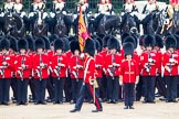Trooping the Colour 2012: The Ensign, Second Lieutenant Hugo C Codrington, is trooping the Colour along No. 2 Guard, 1st Battalion Coldstream Guards, whilst the Escort to the Colour, No. 1 Guard, is marching between the two lines of guardsmen..
Horse Guards Parade, Westminster,
London SW1,

United Kingdom,
on 16 June 2012 at 11:27, image #356