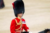 Trooping the Colour 2012: Close-up of the Field Officer in Brigade Waiting, Lieutenant Colonel R C N Sergeant, Coldstream Guards..
Horse Guards Parade, Westminster,
London SW1,

United Kingdom,
on 16 June 2012 at 11:35, image #400