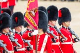 Trooping the Colour 2012: The Ensign, Second Lieutenant H C Codrington, carrying the Colour during the March Past. Behind him No. 1 Guard, the Escort to the Colour..
Horse Guards Parade, Westminster,
London SW1,

United Kingdom,
on 16 June 2012 at 11:35, image #404