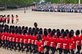 Trooping the Colour 2012: Having lowered the Colour in front of Her Majesty, the Ensign, Second Lieutenant Hugo Codrington, during the "flourish". It's "Eyes right" for the Escort to the Colour..
Horse Guards Parade, Westminster,
London SW1,

United Kingdom,
on 16 June 2012 at 11:37, image #425
