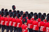 Trooping the Colour 2012: Having lowered the Colour in front of Her Majesty, the Ensign, Second Lieutenant Hugo Codrington, during the "flourish". It's "Eyes right" for the Escort to the Colour..
Horse Guards Parade, Westminster,
London SW1,

United Kingdom,
on 16 June 2012 at 11:37, image #426
