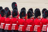 Trooping the Colour 2012: Having lowered the Colour in front of Her Majesty, the Ensign, Second Lieutenant Hugo Codrington, during the "flourish". It's "Eyes right" for the Escort to the Colour..
Horse Guards Parade, Westminster,
London SW1,

United Kingdom,
on 16 June 2012 at 11:37, image #427