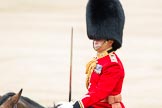 Trooping the Colour 2012: The Field Officer in Brigade Waiting, Lieutenant Colonel R C N Sergeant, Coldstream Guards..
Horse Guards Parade, Westminster,
London SW1,

United Kingdom,
on 16 June 2012 at 11:40, image #453