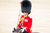 Trooping the Colour 2012: The Field Officer in Brigade Waiting, Lieutenant Colonel R C N Sergeant, Coldstream Guards..
Horse Guards Parade, Westminster,
London SW1,

United Kingdom,
on 16 June 2012 at 11:40, image #454