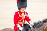 Trooping the Colour 2012: The Field Officer in Brigade Waiting, Lieutenant Colonel R C N Sergeant, Coldstream Guards..
Horse Guards Parade, Westminster,
London SW1,

United Kingdom,
on 16 June 2012 at 11:40, image #455