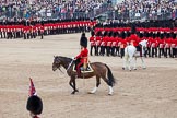 Trooping the Colour 2012: With the Adjutant of the Parade on the white horse following the guards divisions around Horse Guards Parade, the Field Officer returns to the centre of the action..
Horse Guards Parade, Westminster,
London SW1,

United Kingdom,
on 16 June 2012 at 11:47, image #503