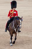 Trooping the Colour 2012: The Field Officer in Brigade Waiting, Lieutenant Colonel R C N Sergeant, Coldstream Guards, riding Burniston..
Horse Guards Parade, Westminster,
London SW1,

United Kingdom,
on 16 June 2012 at 11:47, image #505