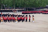 Trooping the Colour 2012: The March Past in Quick Time, the guards divisions turning left again along St. James's Park..
Horse Guards Parade, Westminster,
London SW1,

United Kingdom,
on 16 June 2012 at 11:48, image #508