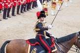 Trooping the Colour 2012: An officer of the Royal Horse Artillery during the Ride Past..
Horse Guards Parade, Westminster,
London SW1,

United Kingdom,
on 16 June 2012 at 11:55, image #555