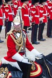 Trooping the Colour 2012: A Captain (Captain A A Wallis?) from The Life Guards at the Ride Past..
Horse Guards Parade, Westminster,
London SW1,

United Kingdom,
on 16 June 2012 at 11:56, image #565