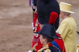 Trooping the Colour 2012: HRH The Princess Royal, HRH the Duke of Kent, and HRH The Duke of Edinburgh in one row, saluting. Behind HM The Queen..
Horse Guards Parade, Westminster,
London SW1,

United Kingdom,
on 16 June 2012 at 12:03, image #613