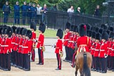 Trooping the Colour 2012: No. 4 Guard, Nijmegen Company Grenadier Guards, and No. 5 Guard, 1st Battalion Irish Guards, are ready to march off. In front the Field Officer..
Horse Guards Parade, Westminster,
London SW1,

United Kingdom,
on 16 June 2012 at 12:08, image #646