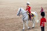 Trooping the Colour 2012: Major General Commanding the Household Division and General Officer Commanding London District, Major General G P R Norton, at the end of the parade..
Horse Guards Parade, Westminster,
London SW1,

United Kingdom,
on 16 June 2012 at 12:11, image #666