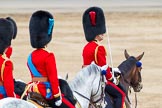 Trooping the Colour 2012: The Field Officer in Brigade Waiting, Lieutenant Colonel R C N Sergeant, Coldstream Guards, at the end of the parade, with HRH The Duke of Kent and HRH The Duke of Cambridge behind..
Horse Guards Parade, Westminster,
London SW1,

United Kingdom,
on 16 June 2012 at 12:12, image #674