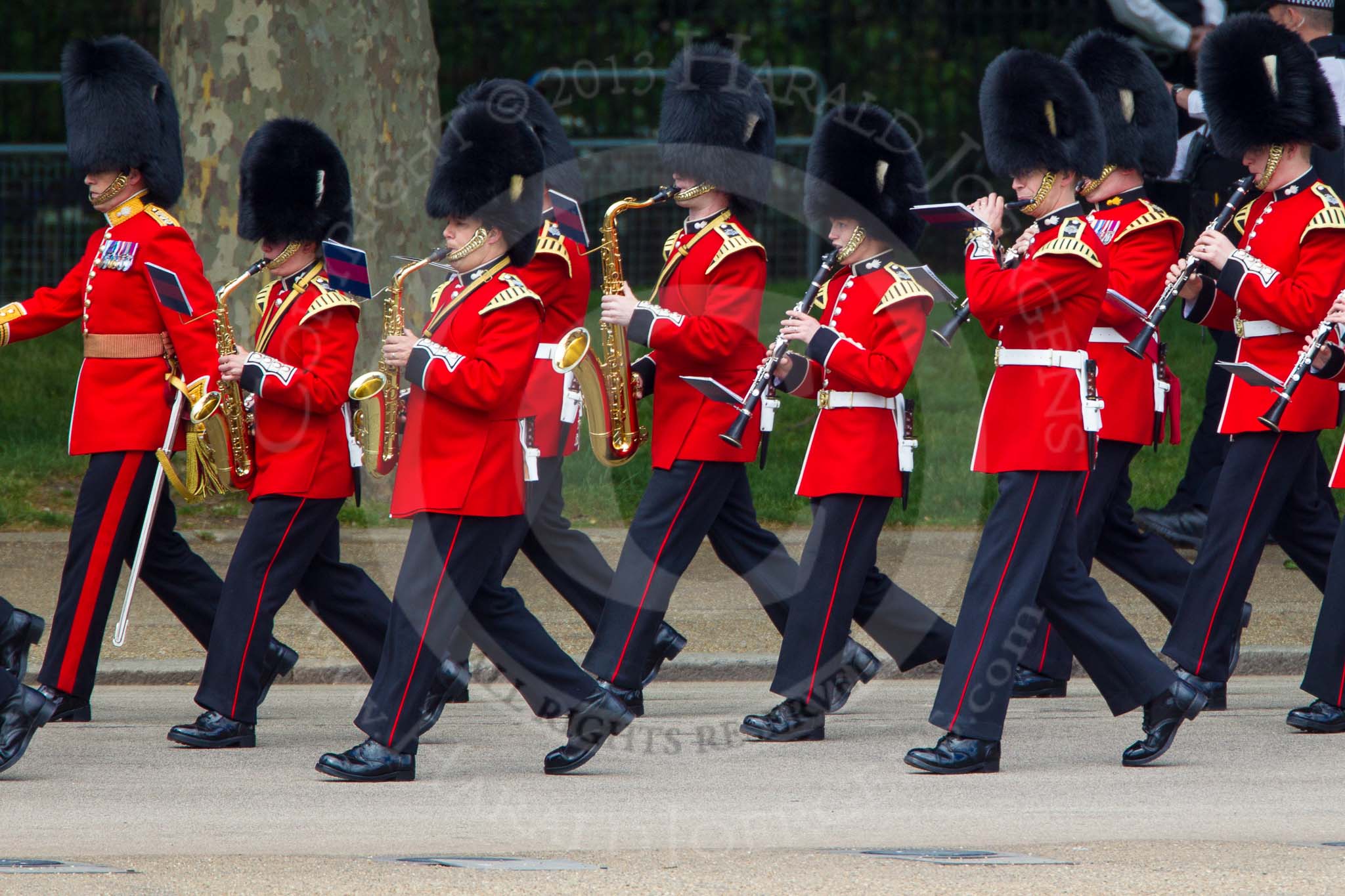 The Colonel's Review 2013: Musicians of the Band of the Grenadier Guards..
Horse Guards Parade, Westminster,
London SW1,

United Kingdom,
on 08 June 2013 at 10:27, image #102