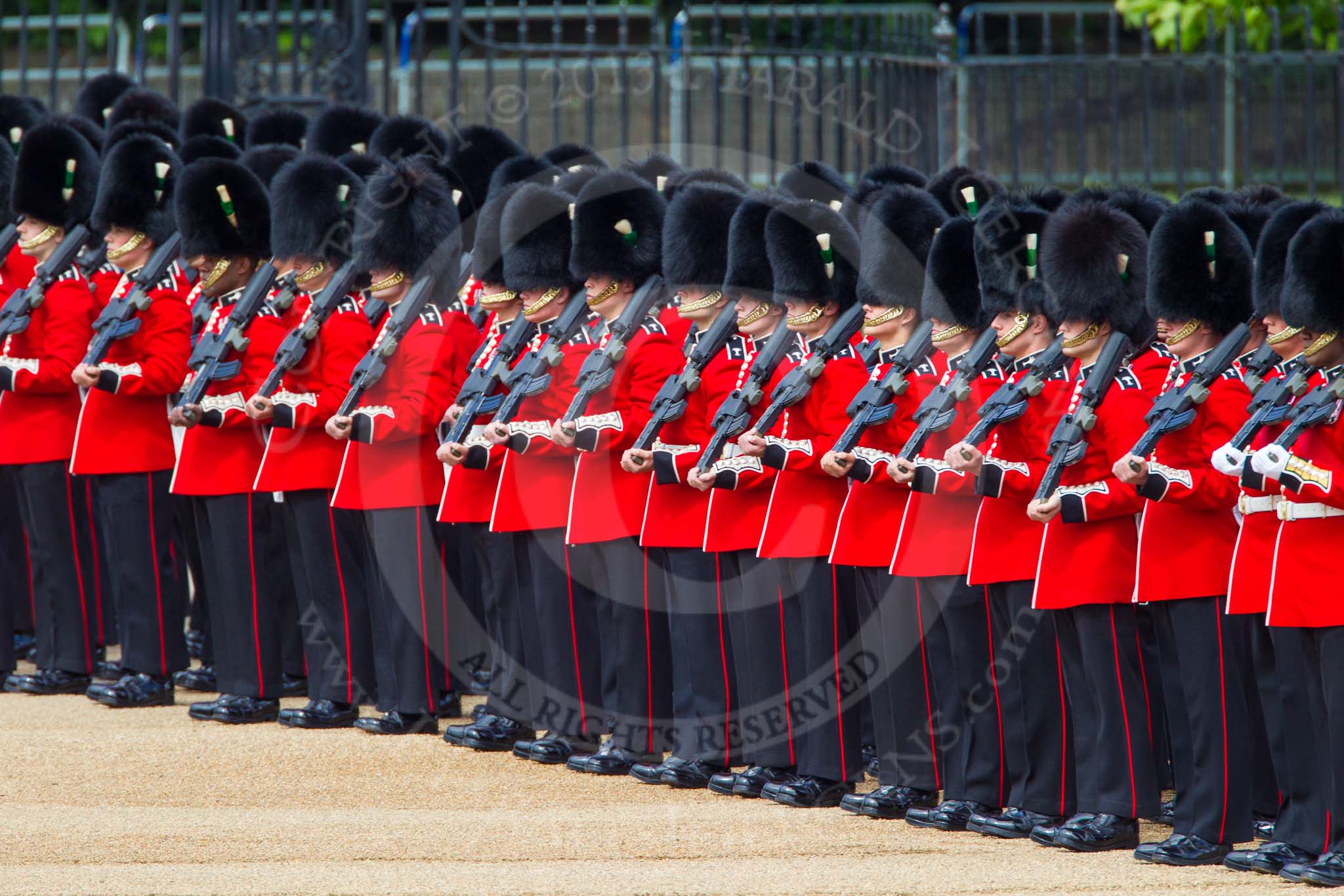 The Colonel's Review 2013: No. 3 Guard, 1st Battalion Welsh Guards, getting into position on Horse Guards Parade..
Horse Guards Parade, Westminster,
London SW1,

United Kingdom,
on 08 June 2013 at 10:28, image #108