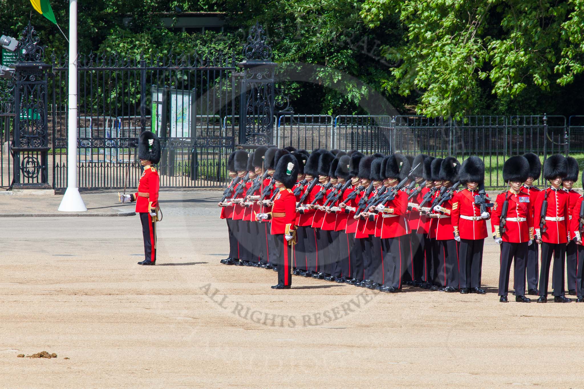The Colonel's Review 2013: No. 3 Guard, 1st Battalion Welsh Guards, at the gap in the line for members of the Royal Family..
Horse Guards Parade, Westminster,
London SW1,

United Kingdom,
on 08 June 2013 at 10:45, image #212