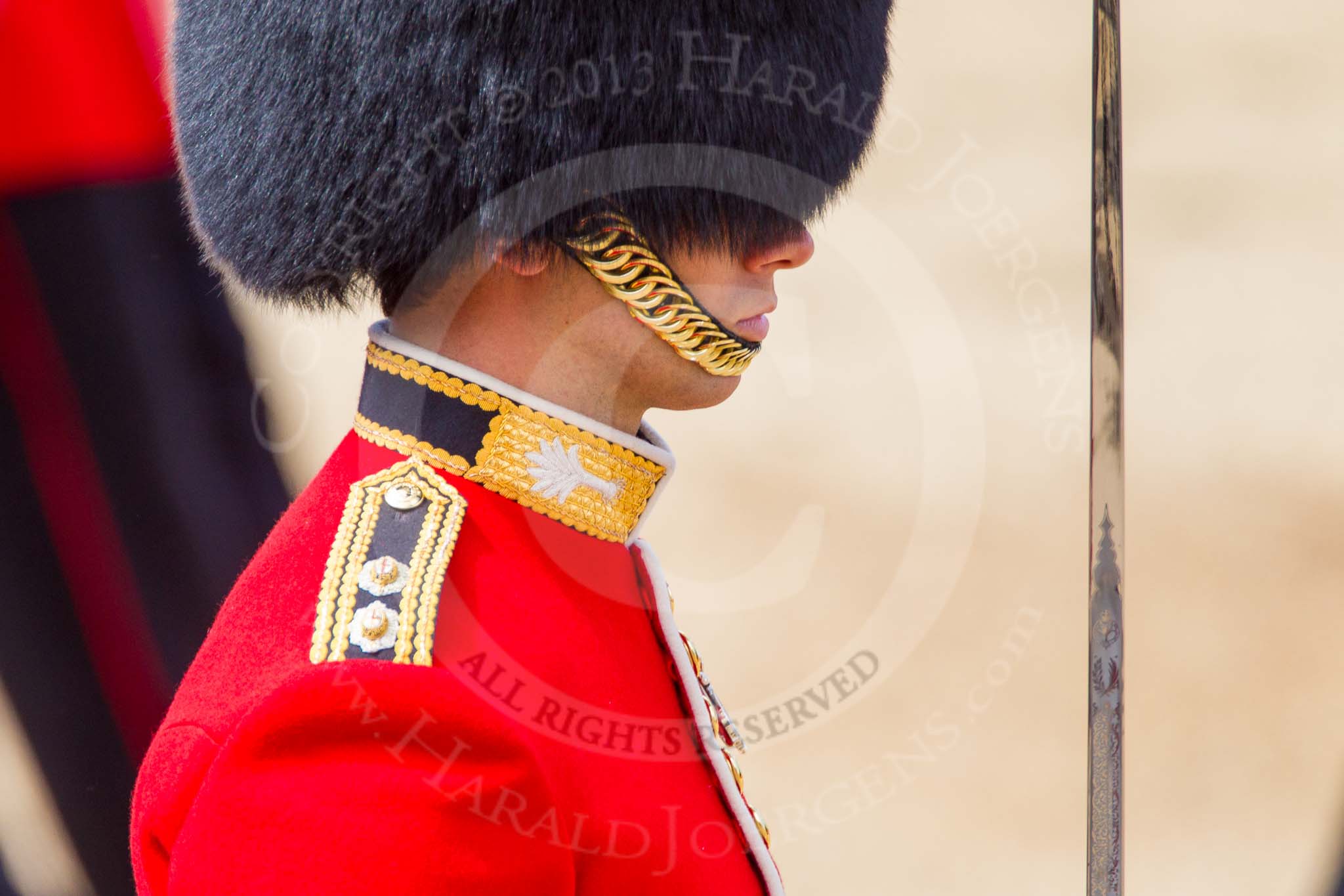 The Colonel's Review 2013.
Horse Guards Parade, Westminster,
London SW1,

United Kingdom,
on 08 June 2013 at 11:35, image #641